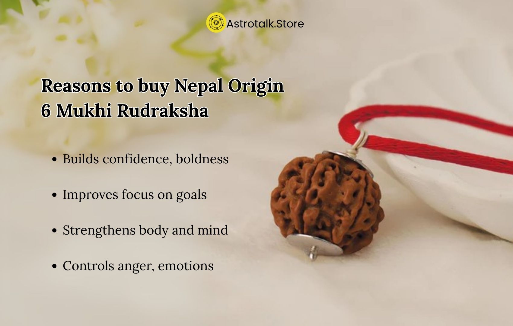 6 Mukhi Rudraksha Benefits: How It Transforms Your Life