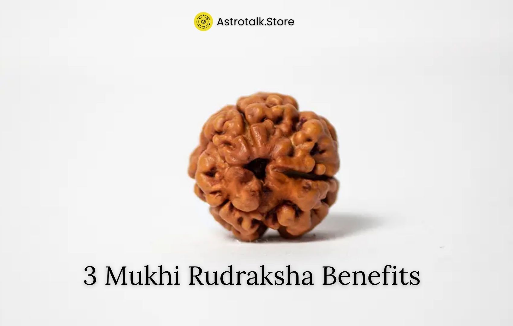 3 Mukhi Rudraksha Benefits, Wearing Rules & Spiritual Significance