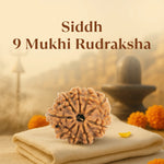 Kashi Siddh Nepal Origin 9 Mukhi Rudraksha -  18mm - 22mm
