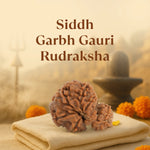 Kashi Siddh Nepal Origin Garbh Gauri Rudraksha - 18mm - 22mm