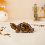 Vastu Tiger Eye Tortoise (Kachhua)