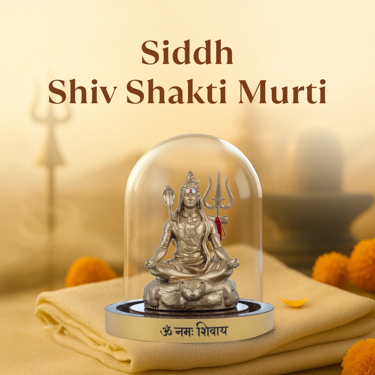 Kashi Siddh Shiv Shakti Murti