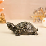 Collector’s Edition Pyrite Tortoise (Kachhua)