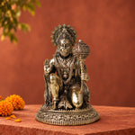 Bajrang Bali Brass Idol