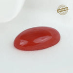 Italian Red Coral