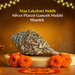 Maa Lakshmi Siddh Silver Plated Ganesh Shankh (Conch)