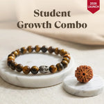 Student Growth Combo: Tiger Eye Bracelet with 7 Mukhi Rudraksha