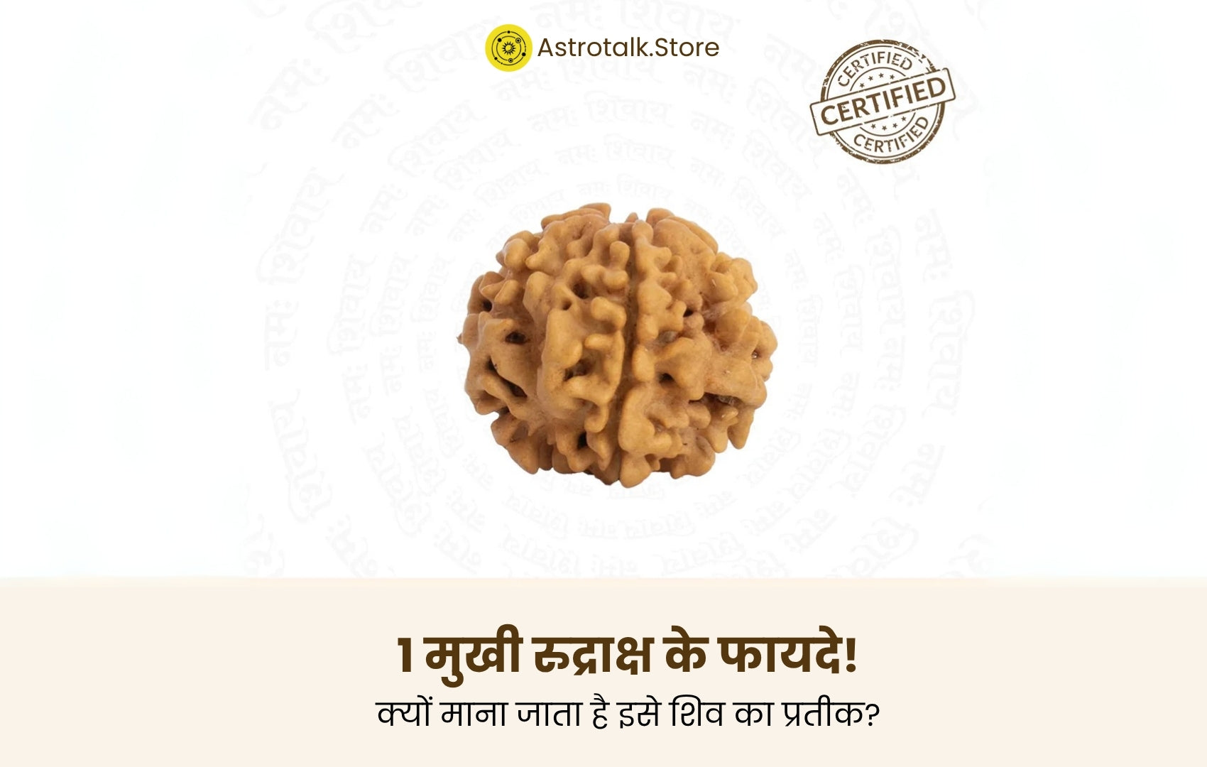 1 मुखी रुद्राक्ष के फायदे 
