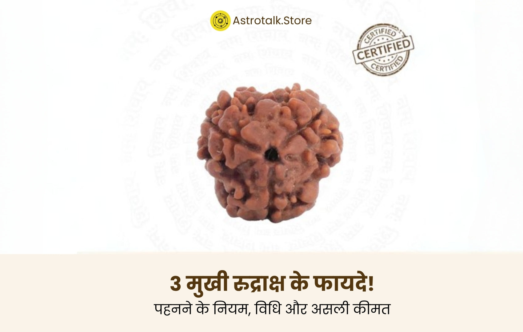 3 मुखी रुद्राक्ष के फायदे 