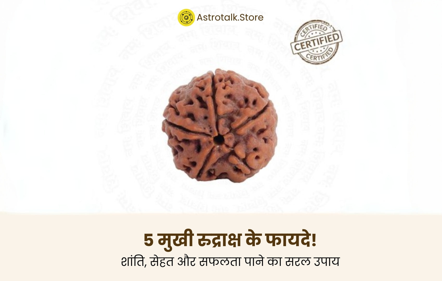 5 मुखी रुद्राक्ष के फायदे