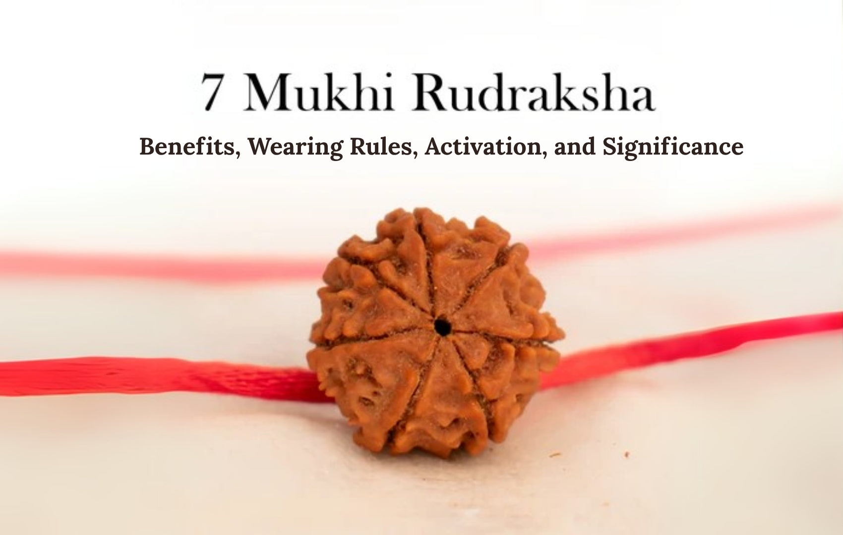 7 Mukhi Rudraksha Benefits, Wearing Rules, Activation, and Significance