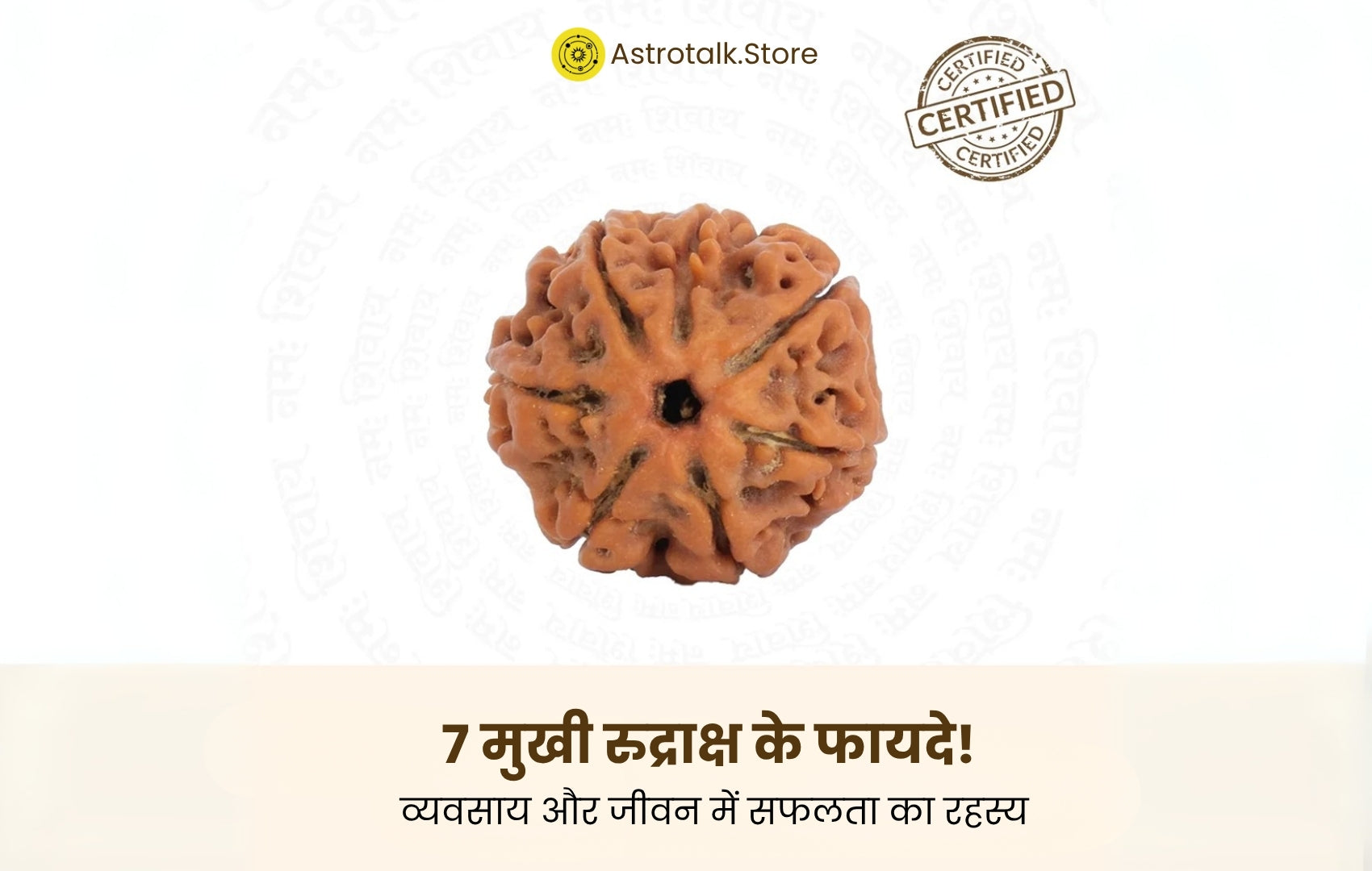 7 मुखी रुद्राक्ष के फायदे 