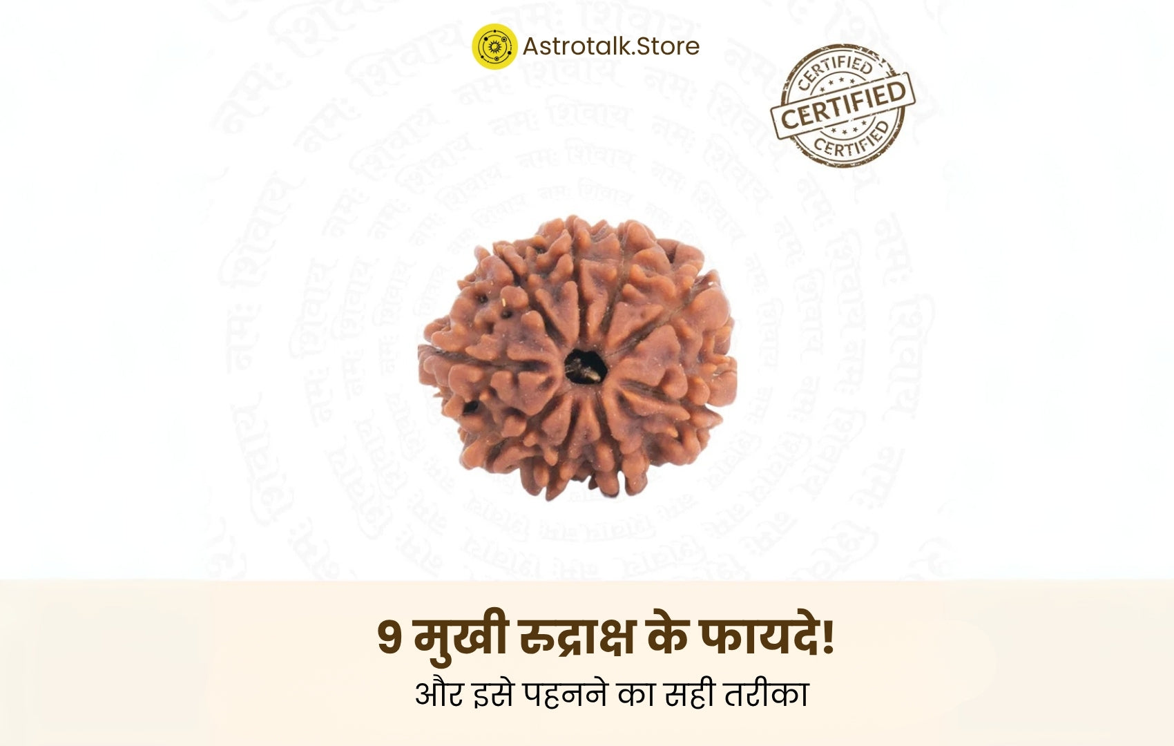 9 मुखी रुद्राक्ष के फायदे 