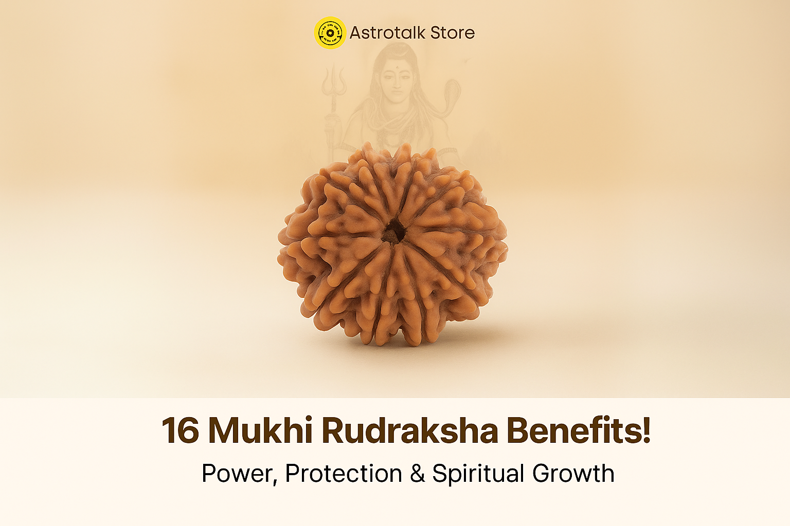 16 Mukhi Rudraksha Benifits