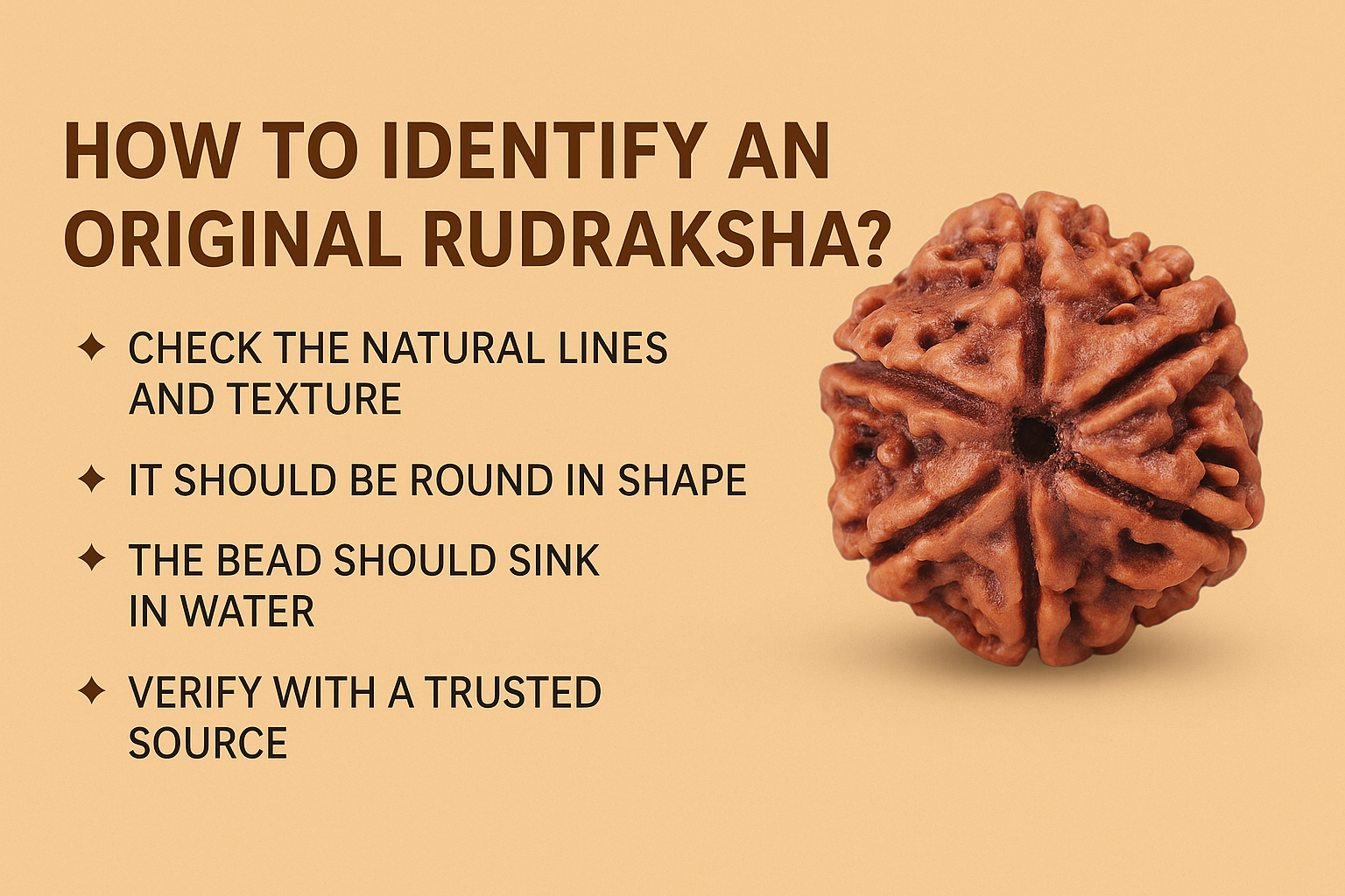How to Identify an Original Rudraksha?