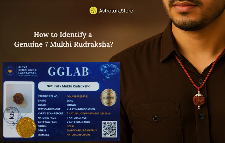 How to Identify a Genuine 7 Mukhi Rudraksha: A Complete Guide