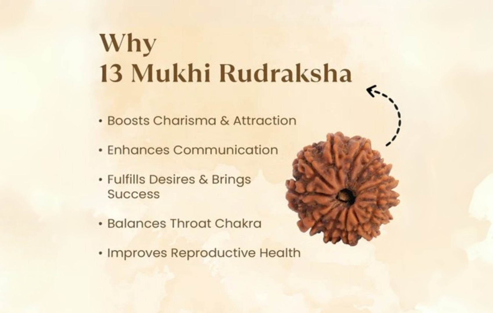 13 Mukhi Rudraksha Benefits You Should Know Before Wearing It