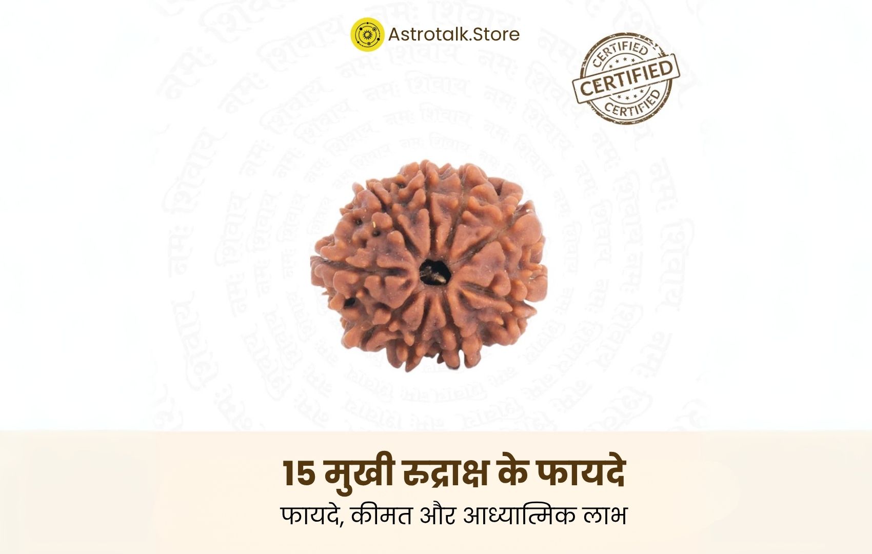15 मुखी रुद्राक्ष के फायदे