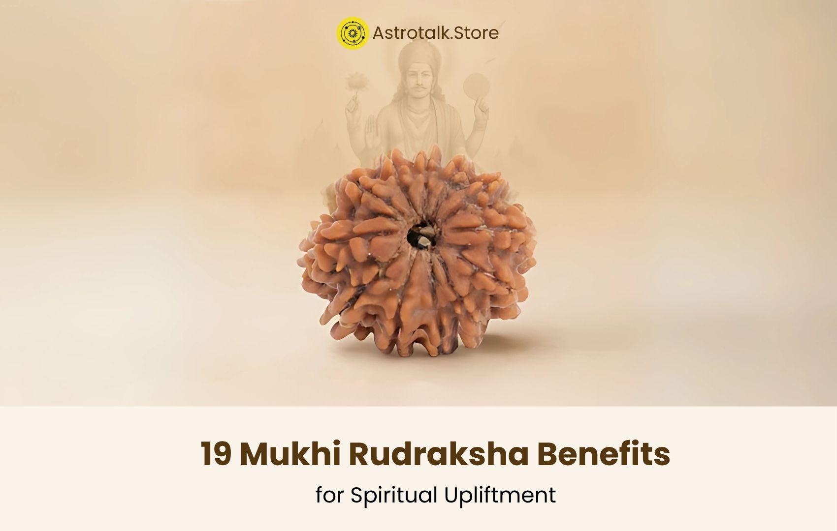 19 Mukhi Rudraksha Benefits
