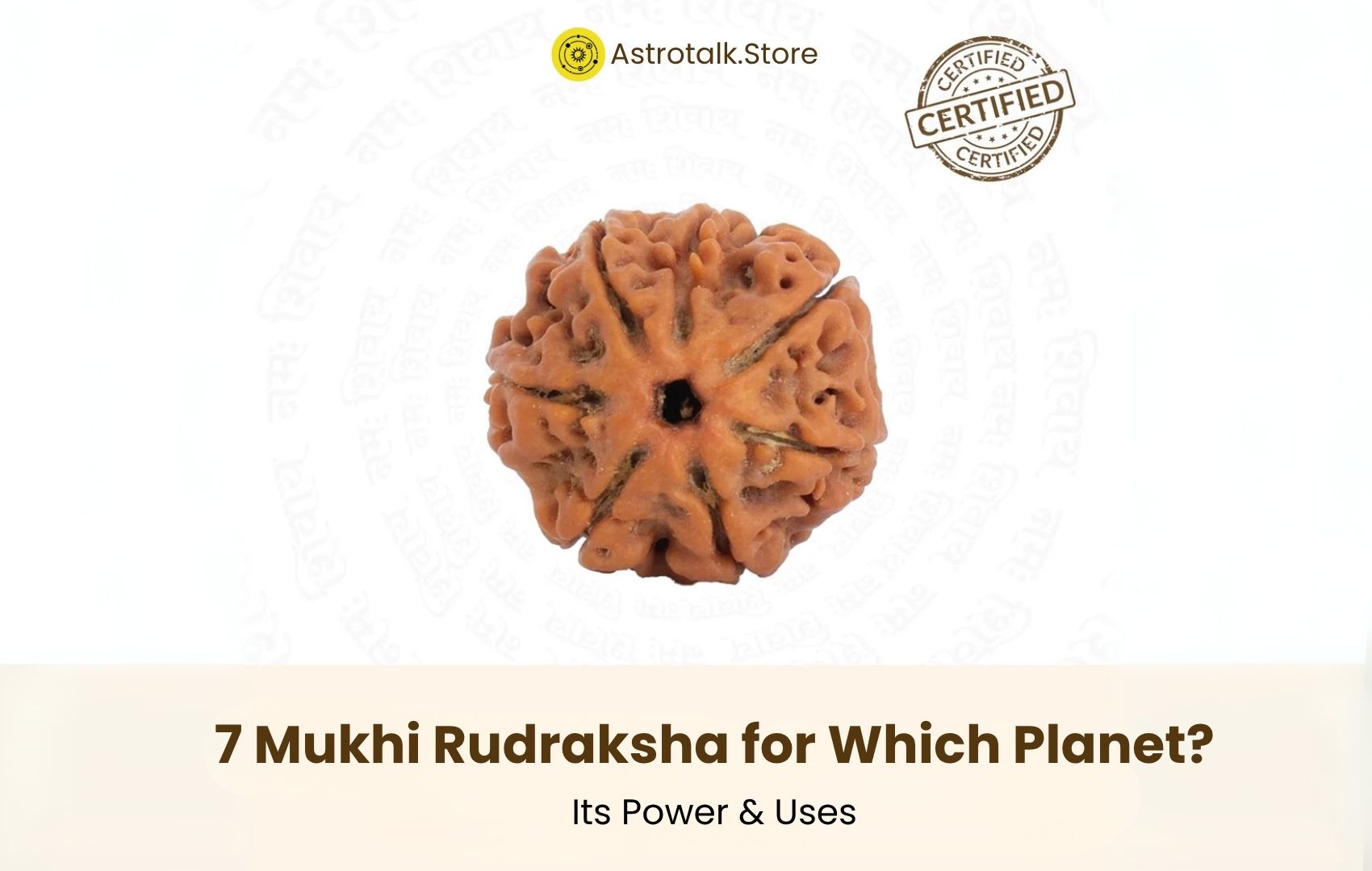 7 Mukhi Rudraksha for Which Planet?