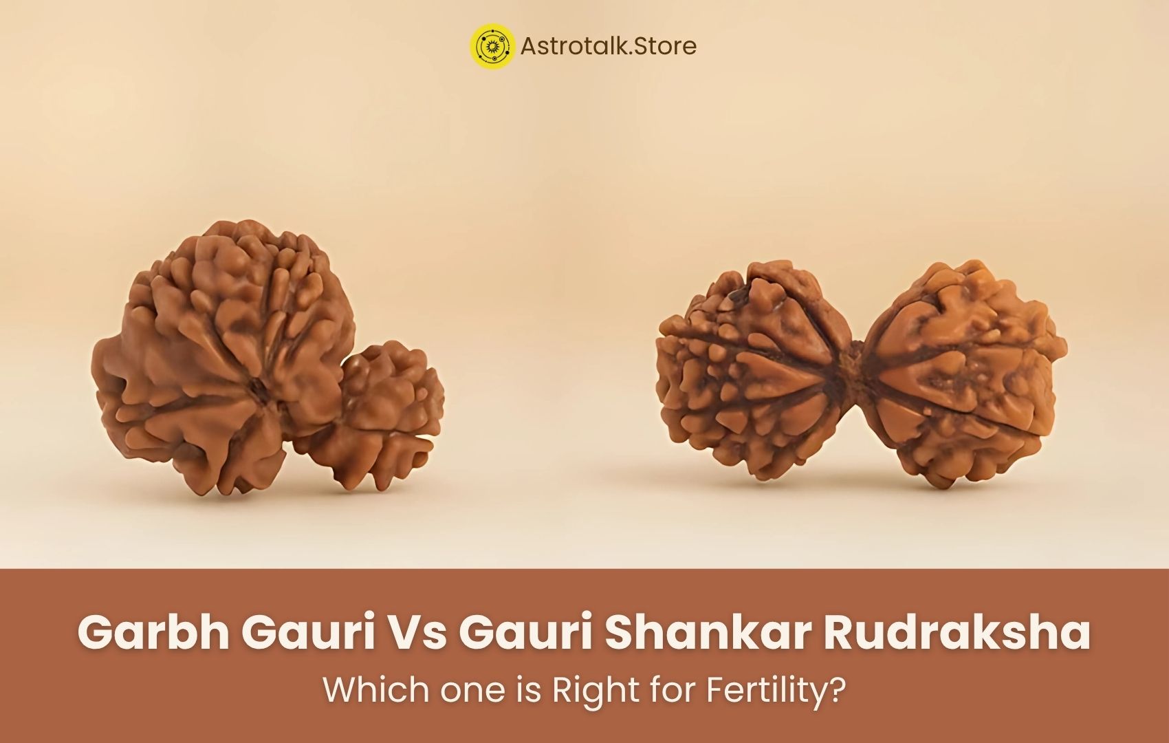 Garbh Gauri vs Gauri Shankar Rudraksha: Which One is Right for Fertility?