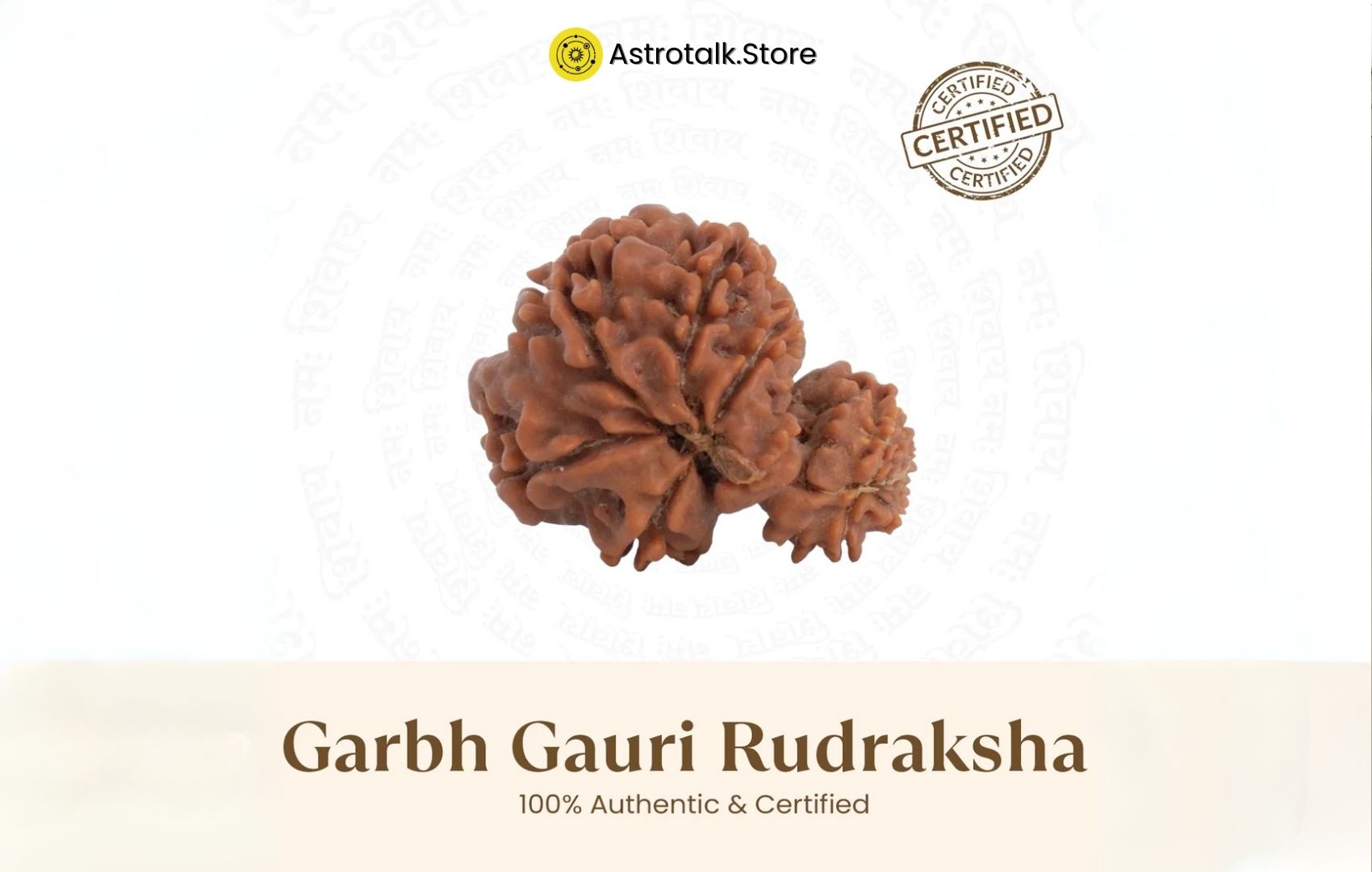 Garbh Gauri Rudraksha Benefits