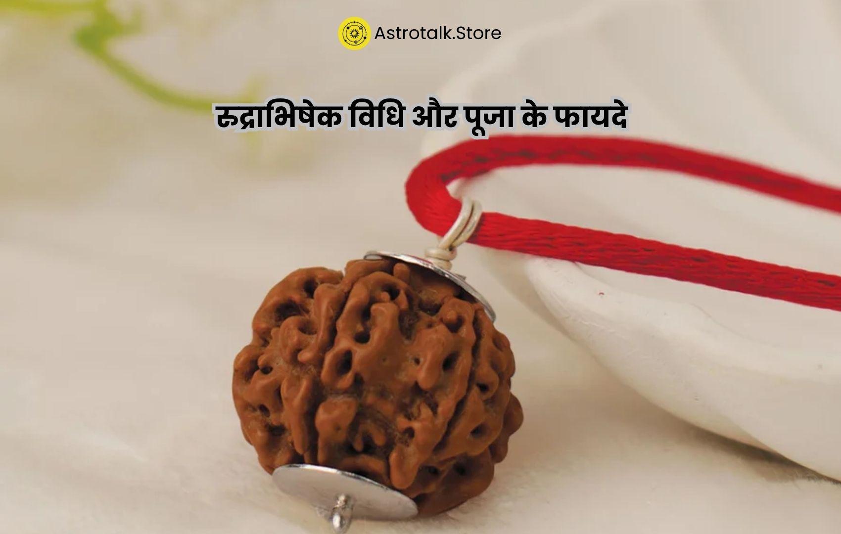 रुद्राभिषेक विधि और पूजा के फायदे