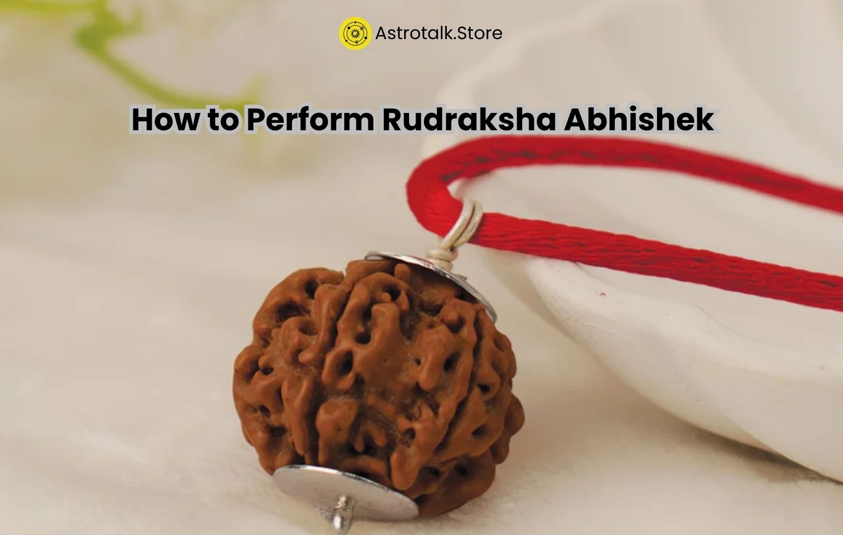 How to Perform Rudraksha Abhishek