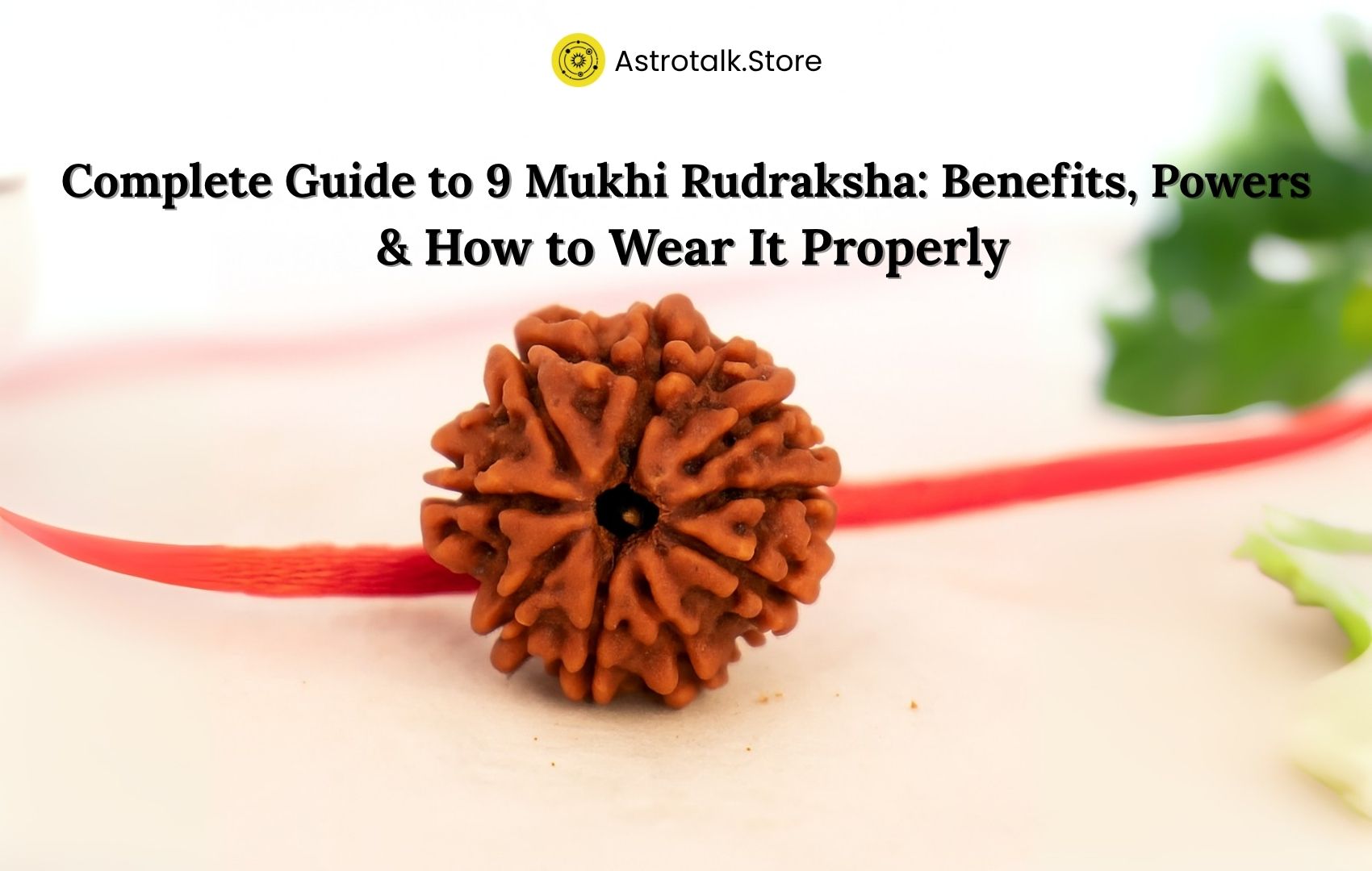 Complete Guide to 9 Mukhi Rudraksha: Benefits, Powers & How to Wear It Properly