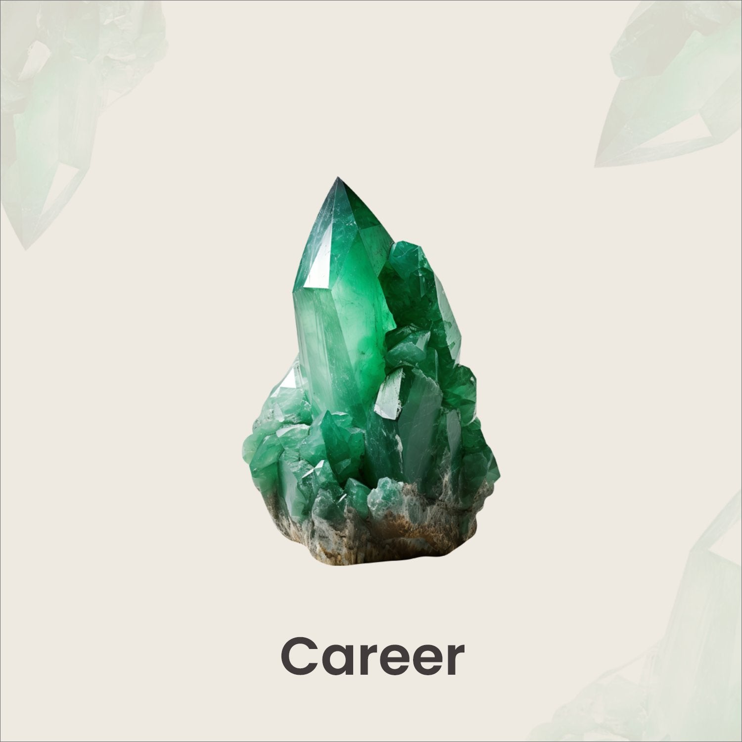 Career