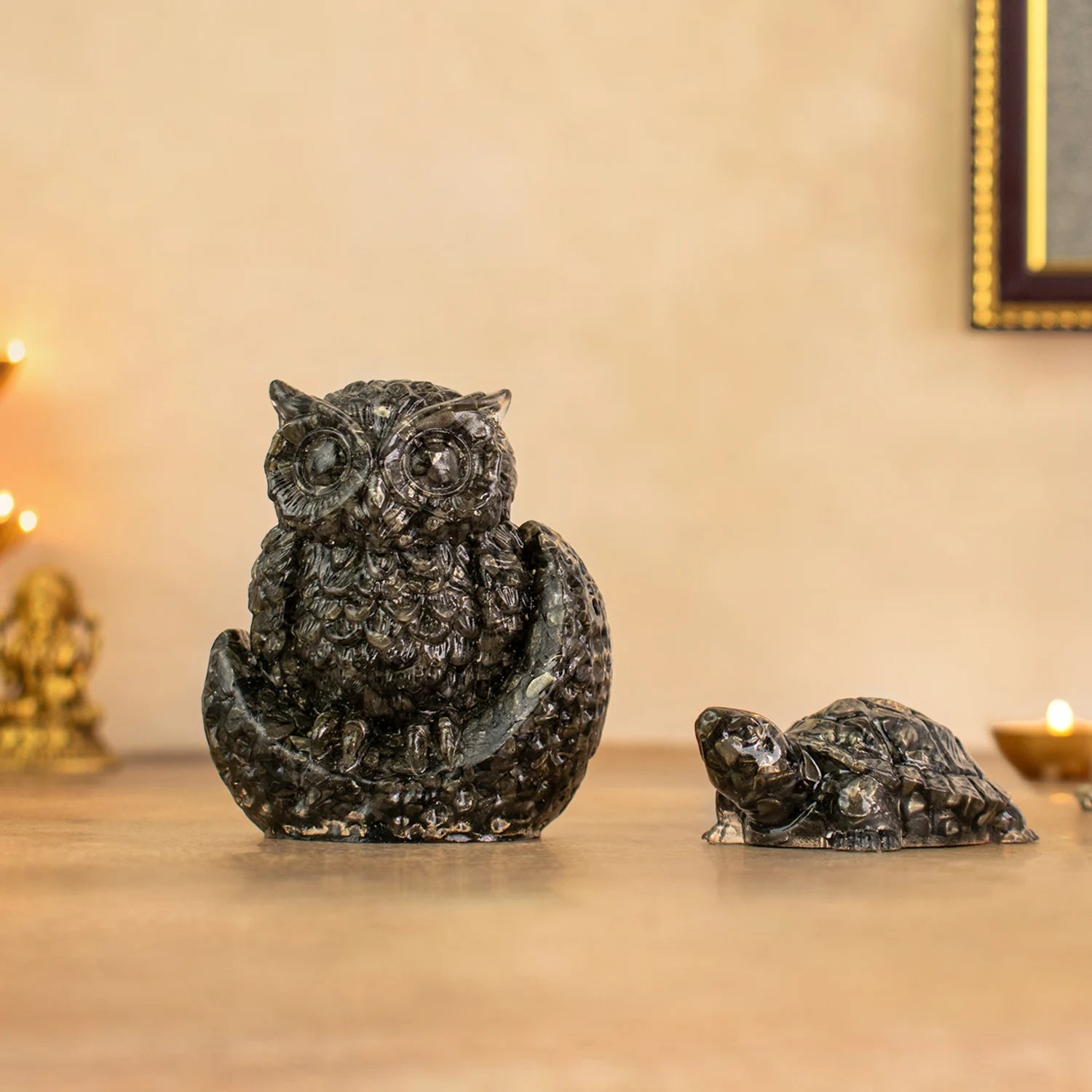 Vastu Pyrite Wealth & Wisdom Combo