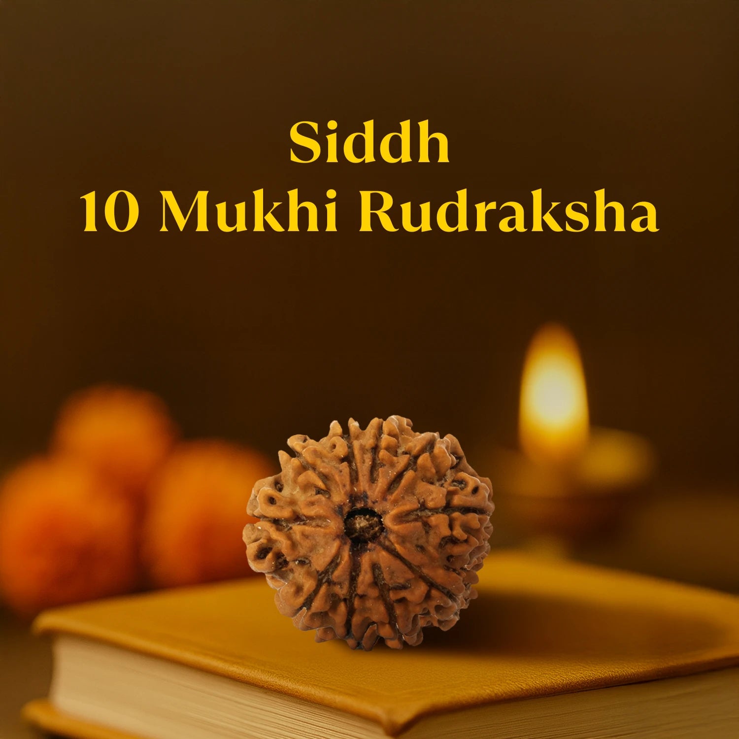 Kashi Siddh Nepal Origin 10 Mukhi Rudraksha