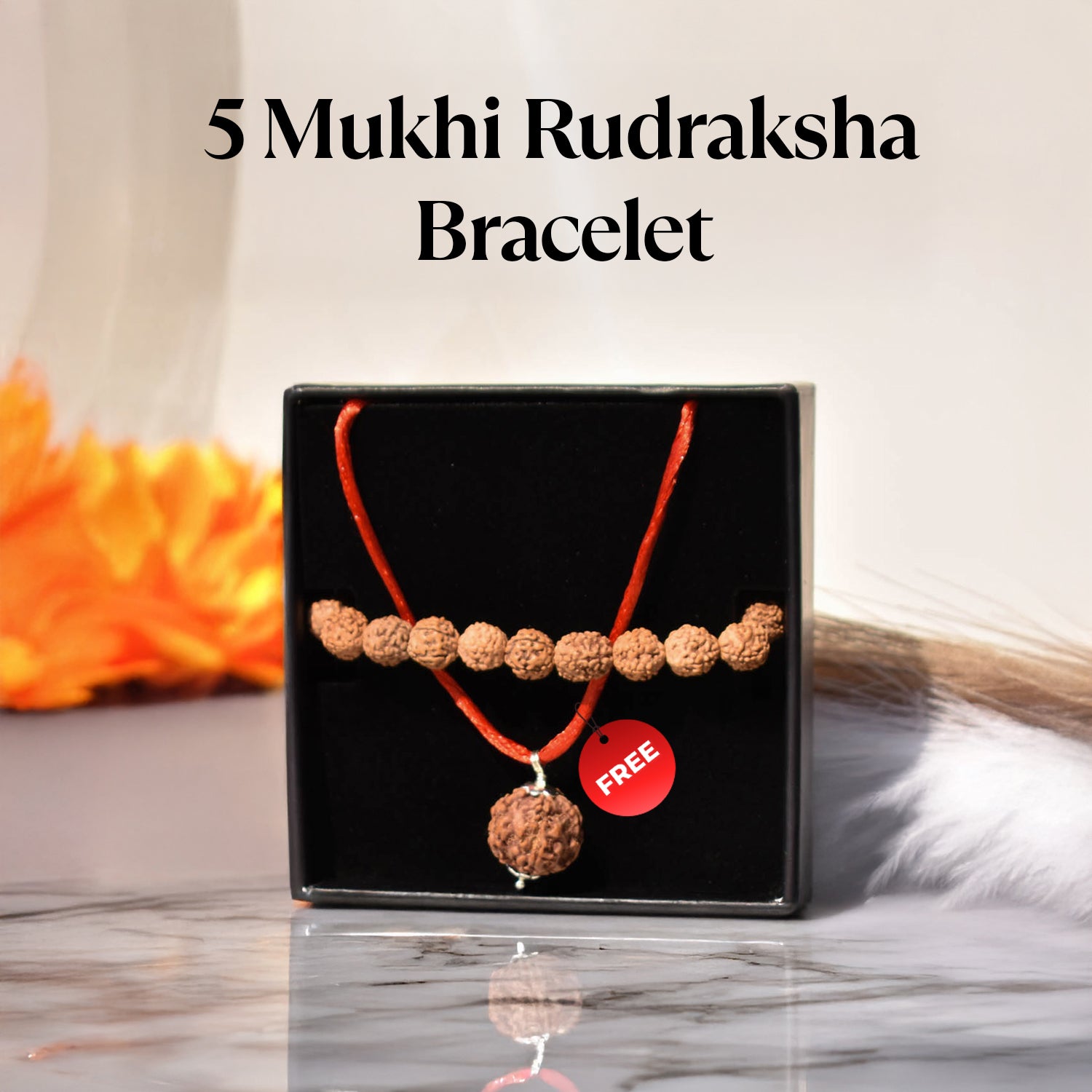 5 Mukhi Rudraksha Bracelet