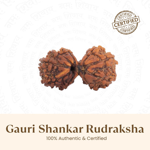 Nepal Origin Gauri Shankar Rudraksha