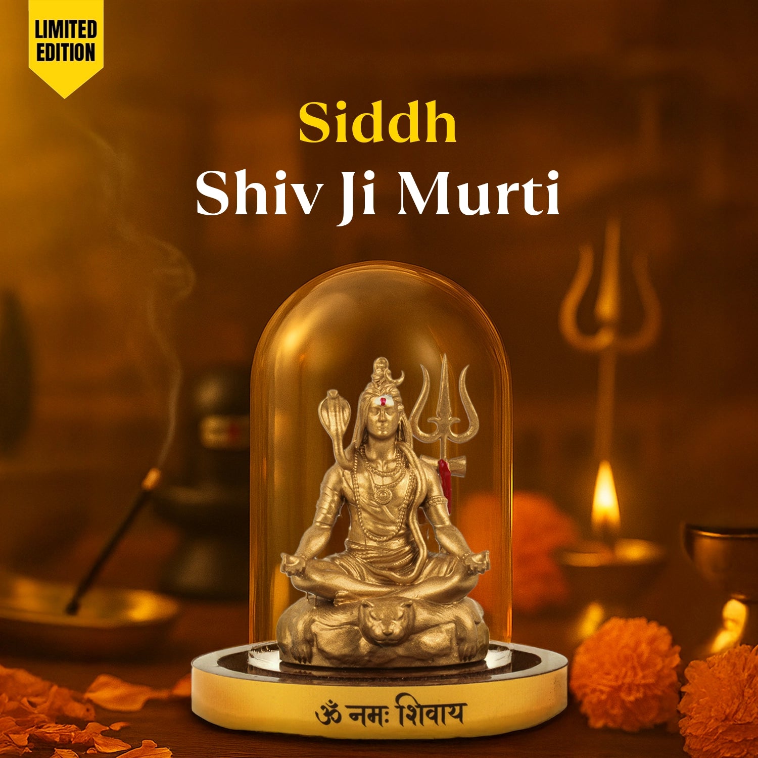 Siddh Shiv Ji Murti