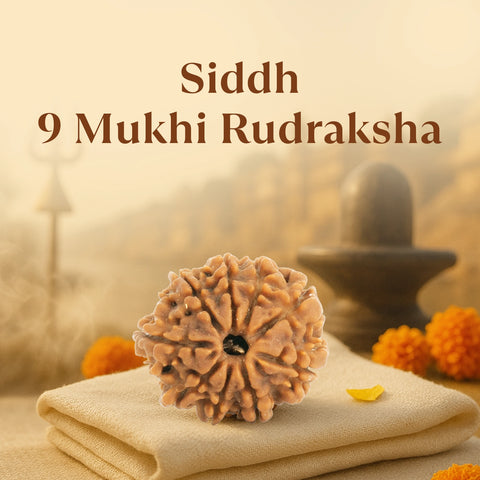 Kashi Siddh Nepal Origin 9 Mukhi Rudraksha -  18mm - 22mm