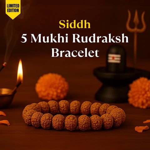 Siddh 5 Mukhi Rudraksha Bracelet