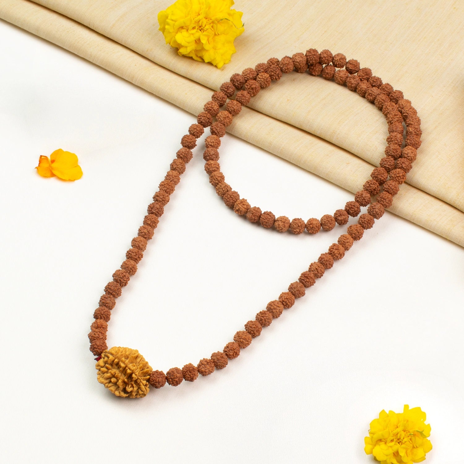 2 Mukhi Rudraksha Bead in 5 Mukhi Rudraksha Mala
