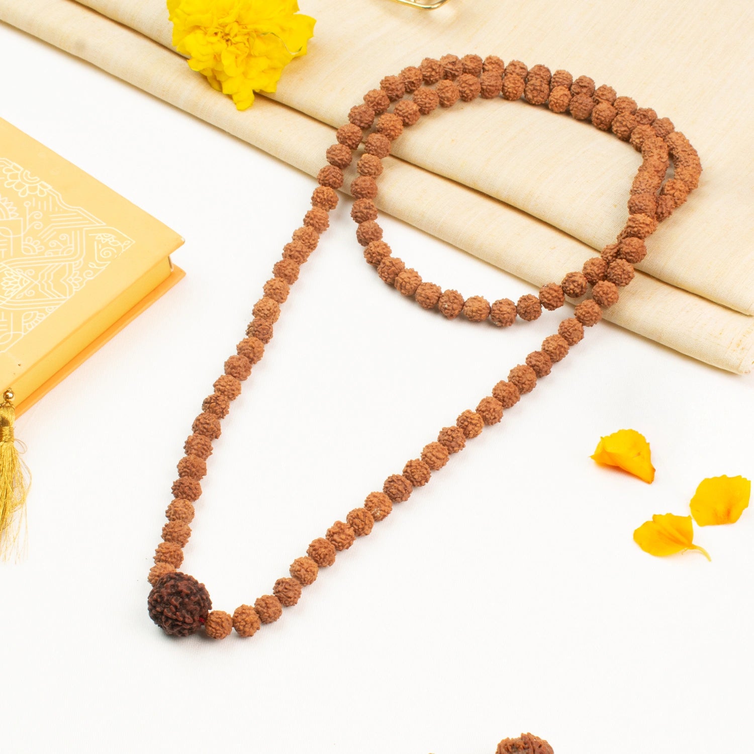 5 Mukhi Rudraksha Bead in 5 Mukhi Rudraksha Mala