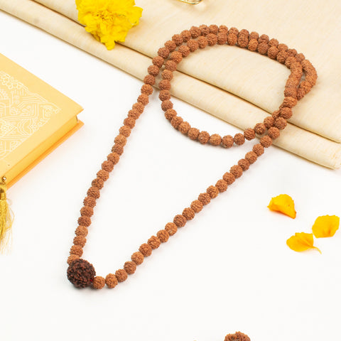 5 Mukhi Rudraksha Bead in 5 Mukhi Rudraksha Mala