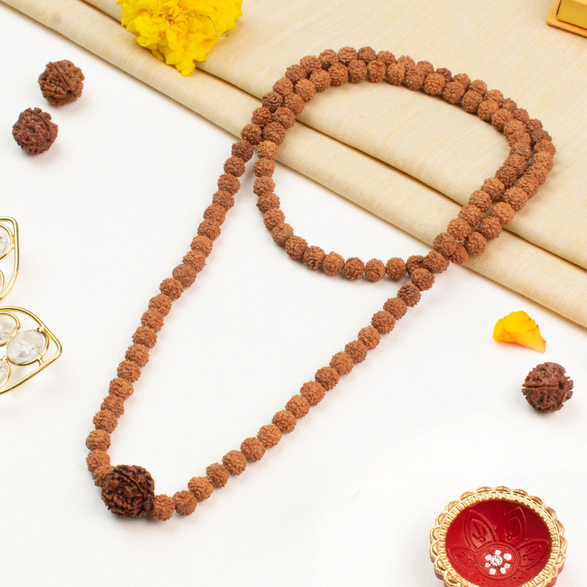 6 Mukhi Rudraksha Bead in 5 Mukhi Rudraksha Mala