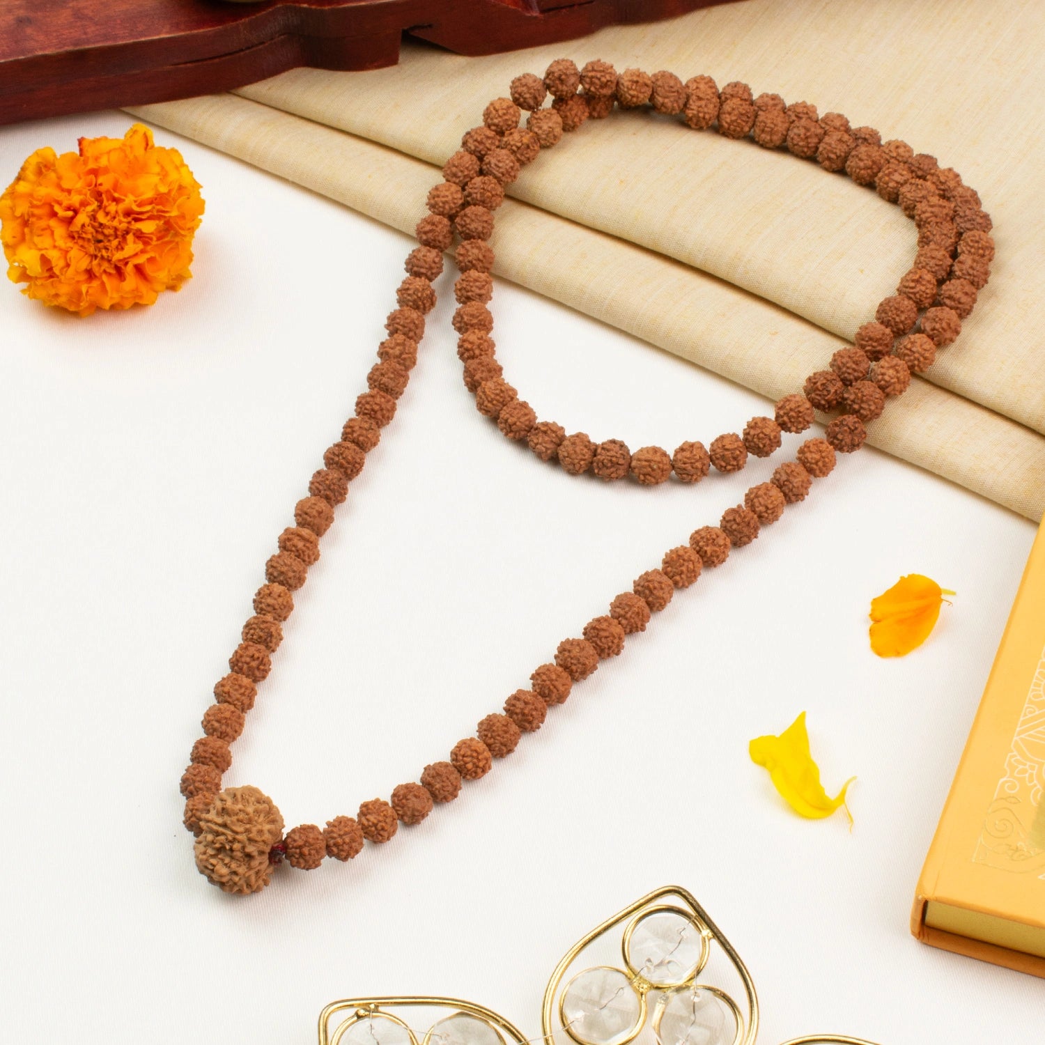 8 Mukhi Rudraksha Bead in 5 Mukhi Rudraksha Mala