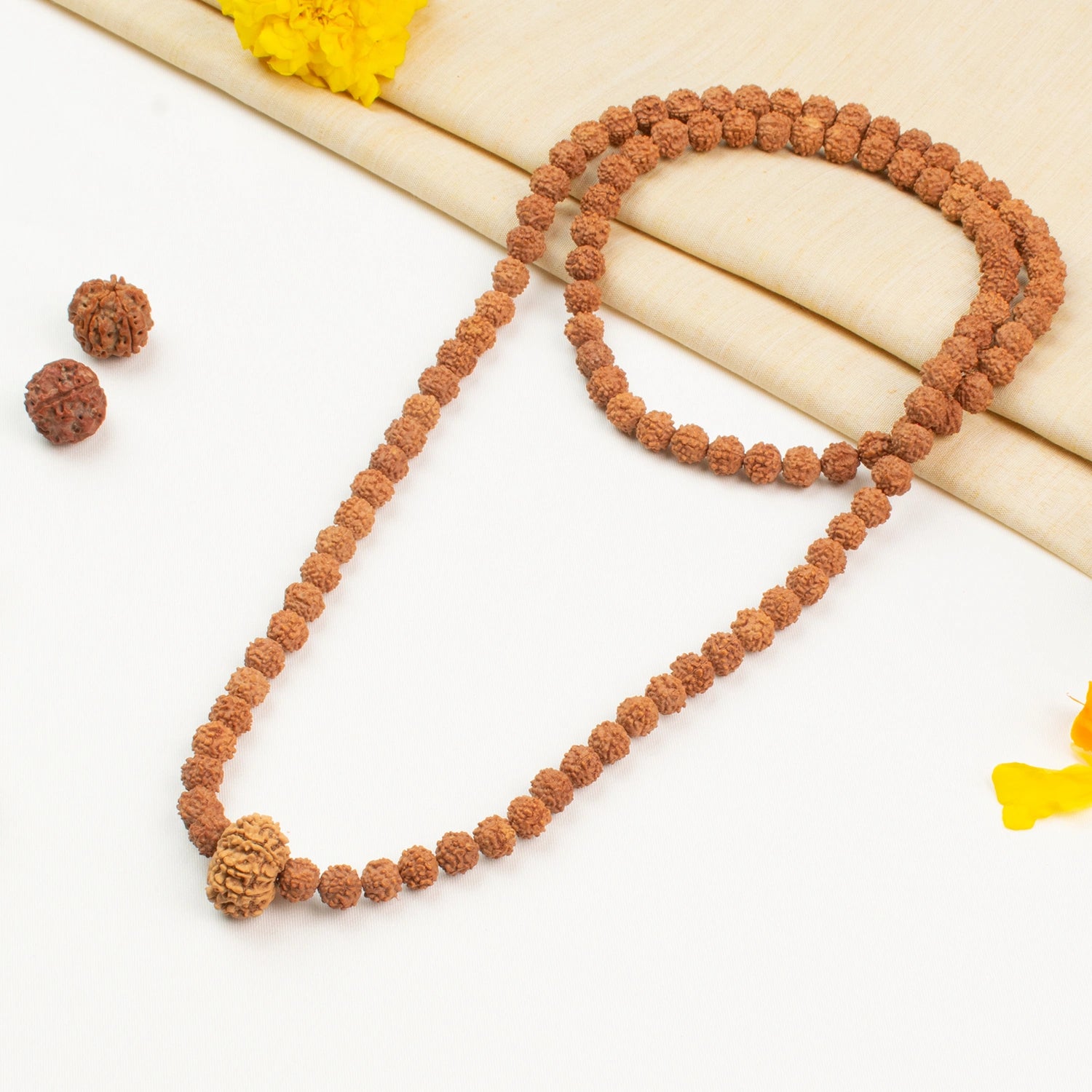 9 Mukhi Rudraksha bead in 5 Mukhi Rudraksha Mala