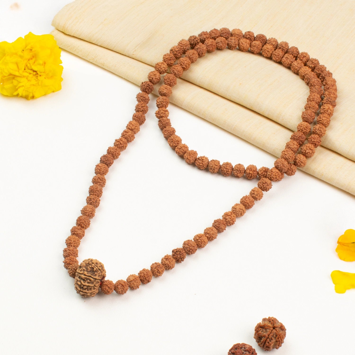 10 Mukhi Rudraksha Bead in 5 Mukhi Rudraksha Mala