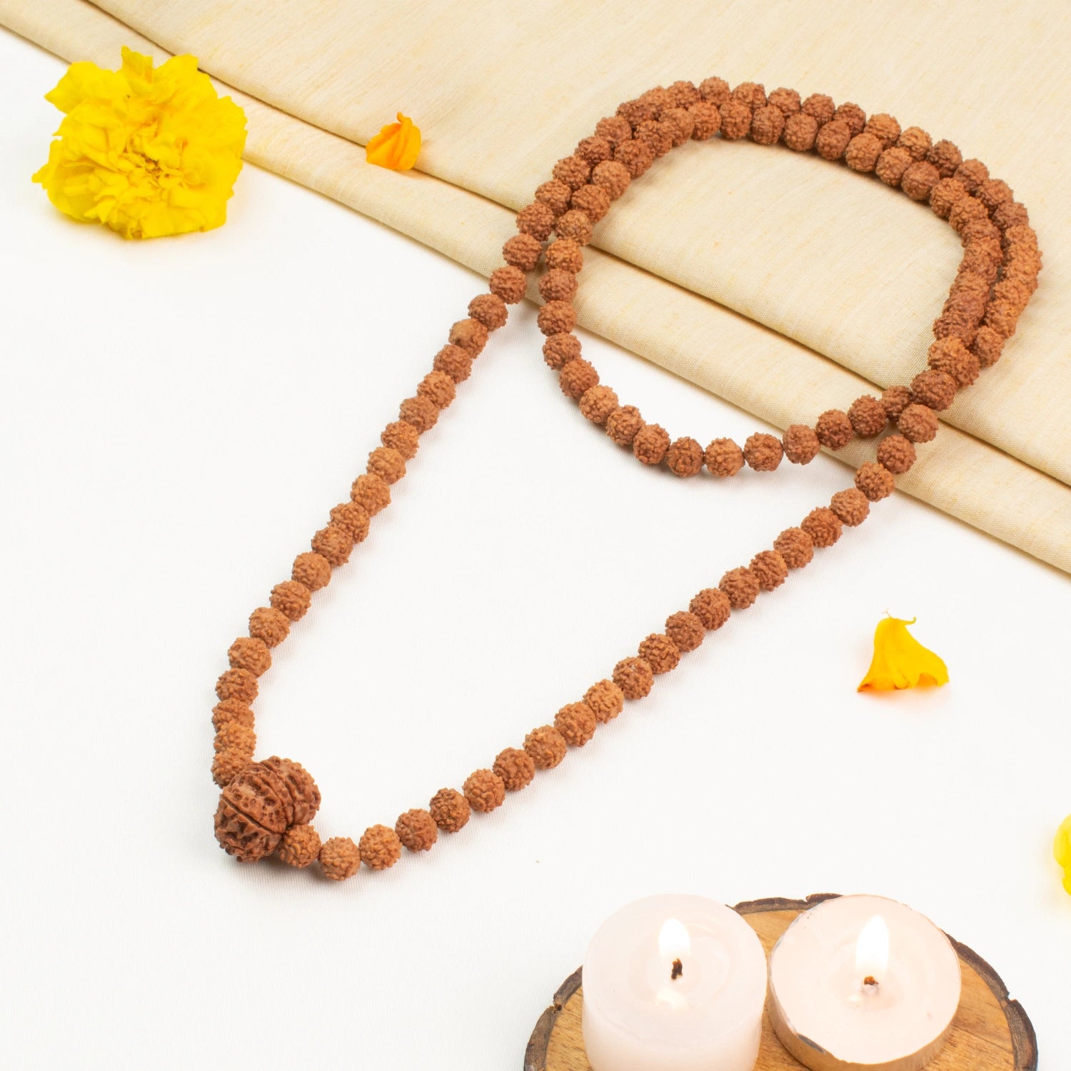 11 Mukhi Rudraksha Bead in 5 Mukhi Rudraksha Mala