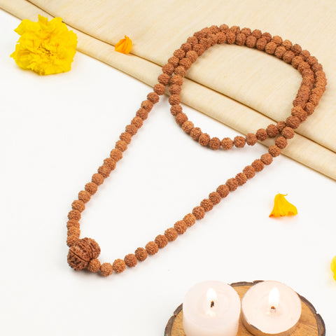11 Mukhi Rudraksha Bead in 5 Mukhi Rudraksha Mala
