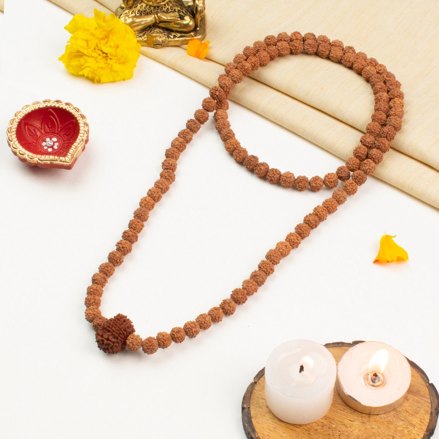 12 Mukhi Rudraksha Bead in 5 Mukhi Rudraksha Mala