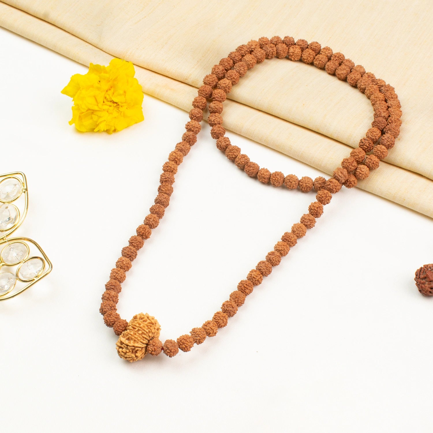 14 Mukhi Rudraksha Bead in 5 Mukhi Rudraksha Mala