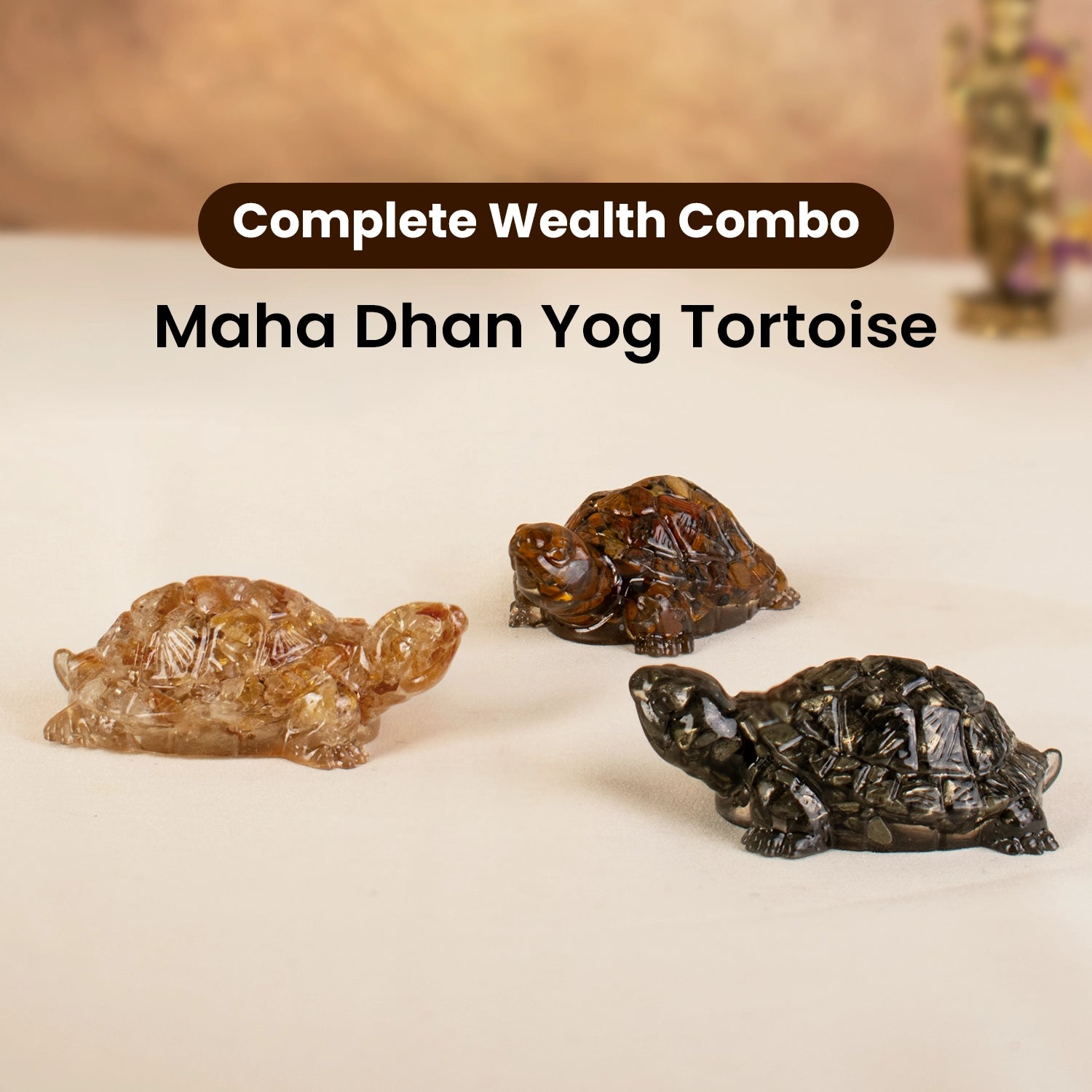 Maha Dhan Yog Tortoise Combo