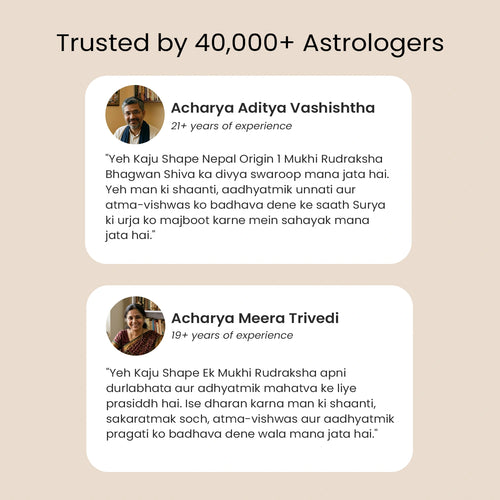 1 Mukhi Rudraksha Moon (Kaju) Shape – Indian Origin